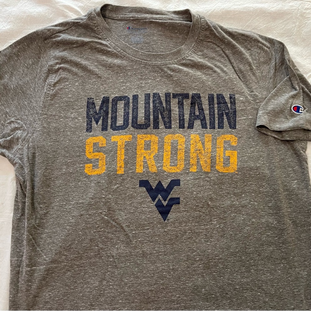 Champion Gray and Blue Short Sleeve Tee